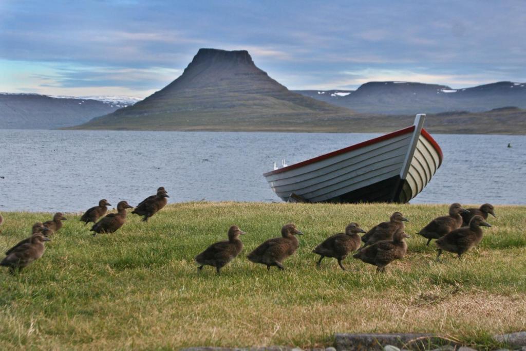 Hotel Isafjordur - Horn Ísafjörður Exterior foto